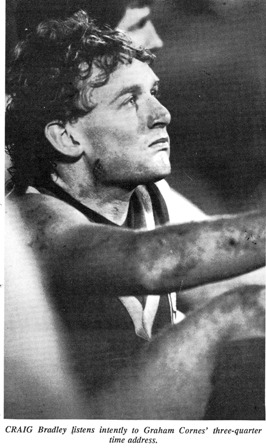 File:19568.jpg