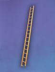 Ladder.jpg