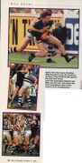 1995 GF - A late tackle on Ang after siren sparks brawl.
