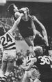 Peter Bosustow's 1981 Screamer
