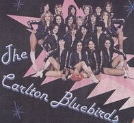Bluebirds Poster