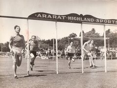 tomararat-800.jpg