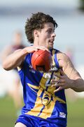 2019 - Western Jet Josh Honey.