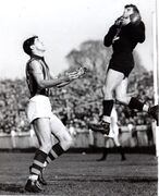 1956 Kevan Hamilton Rnd 8 v Hawthorn 1956 Kevan 'Icy ' Hamilton Rnd 8 v Hawthorn Princes Park June 02 CFC image