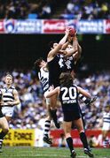 1995 Grand Final 6.jpg