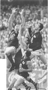 1999 Prelim. - Allan & Silvagni fly for the ball whilst Nelson waits below.