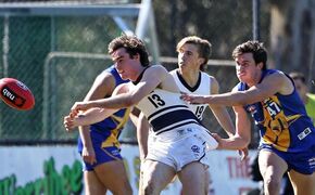 2019 - Northern Knight Sam Philp.