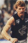 1984 Rd 16 - Brendan Hartney.