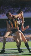 1987 GF - Madden & Dear contest a hit-out.