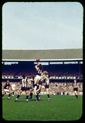 1970 GF - Crosswell flies for a pack grab with Jackson waiting for the crumbs.