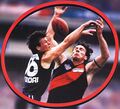 1996 Rd 17 - Aaron Hamill spoils Alessio.
