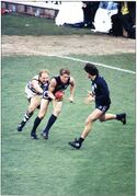 1995 GF- Michael Sexton about to handball to SOS Silvagni.