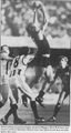 1988 Rd 14 - Richard Dennis takes a strong mark.Pic: Inside Football.