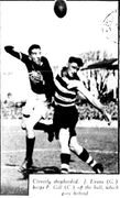 1933SFd